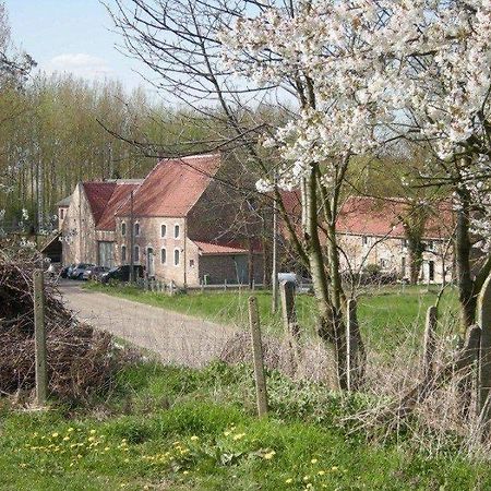 De Verborgen Parel B&B Borgloon Eksteriør bilde