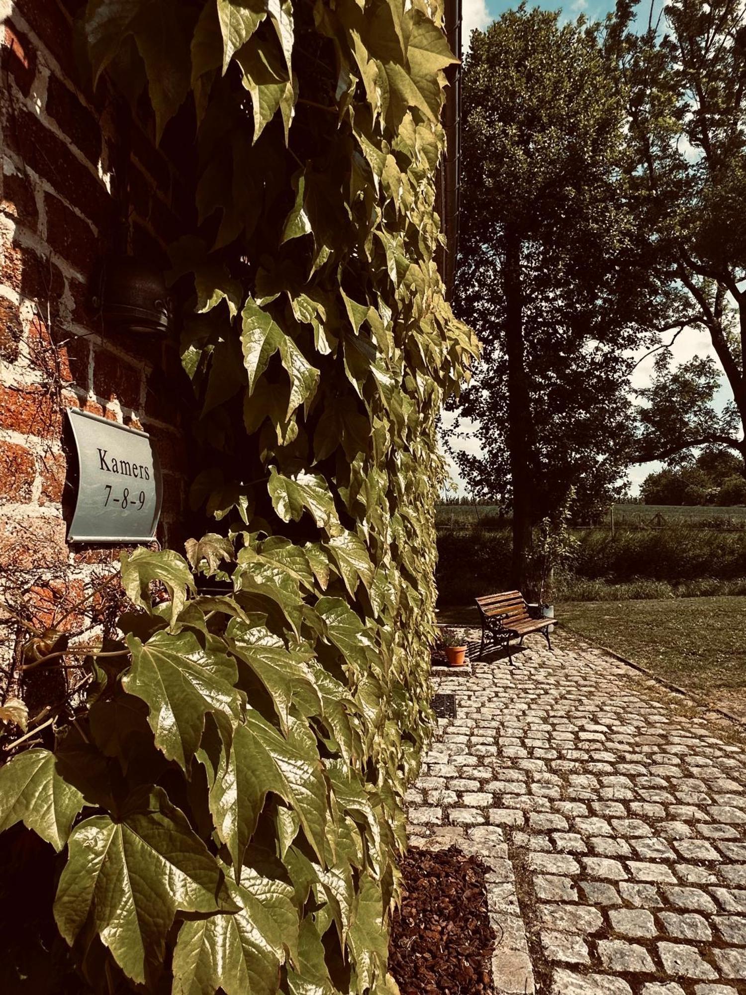 De Verborgen Parel B&B Borgloon Eksteriør bilde