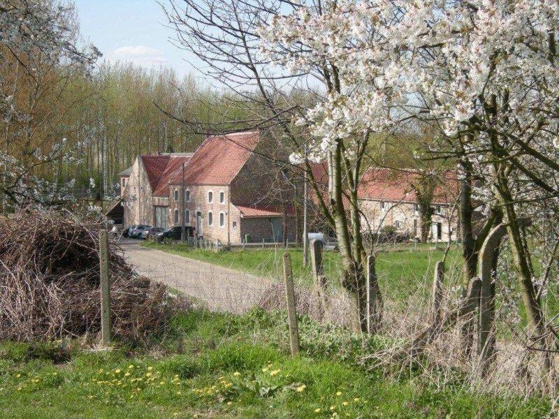 De Verborgen Parel B&B Borgloon Eksteriør bilde