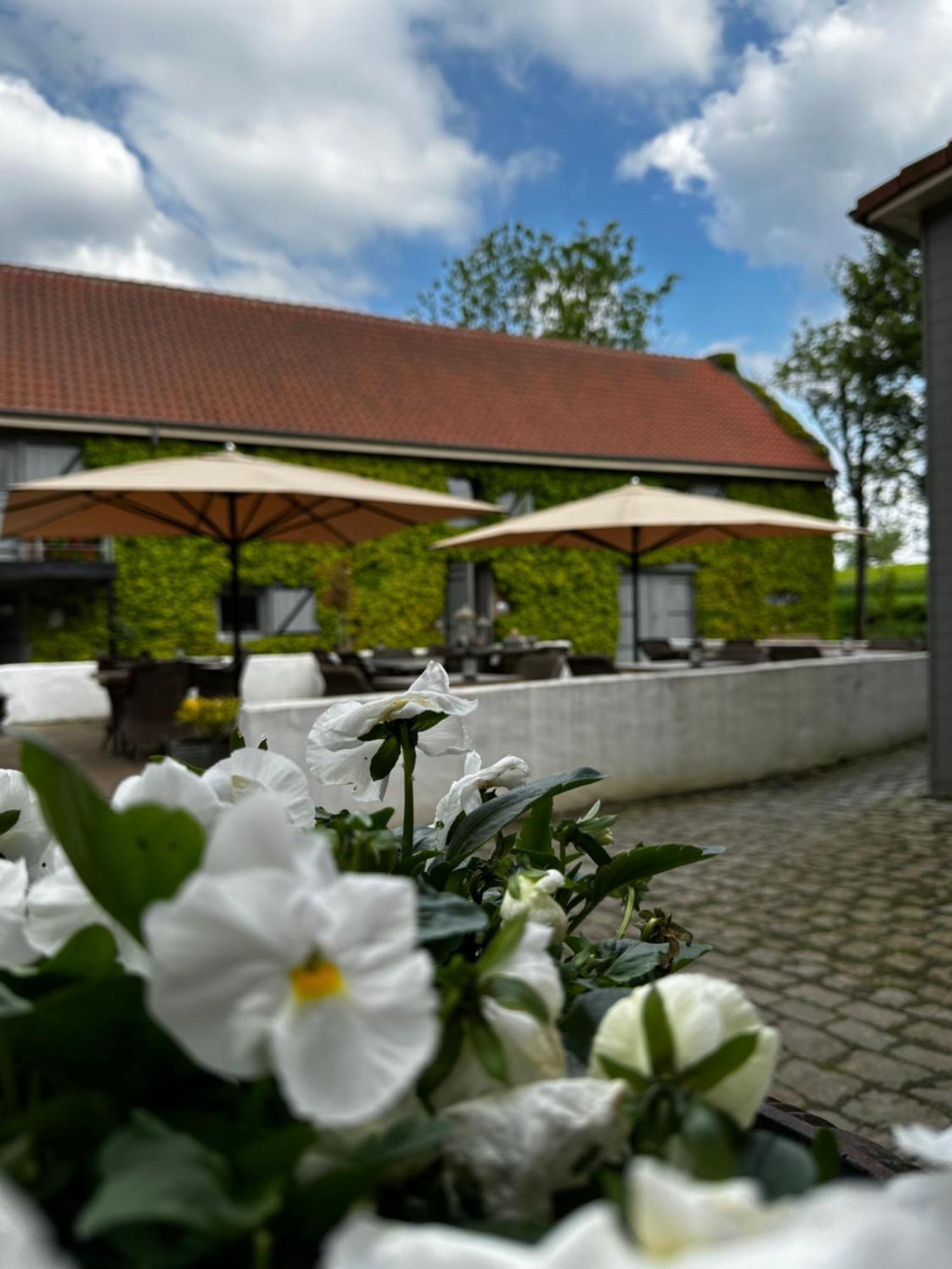 De Verborgen Parel B&B Borgloon Eksteriør bilde