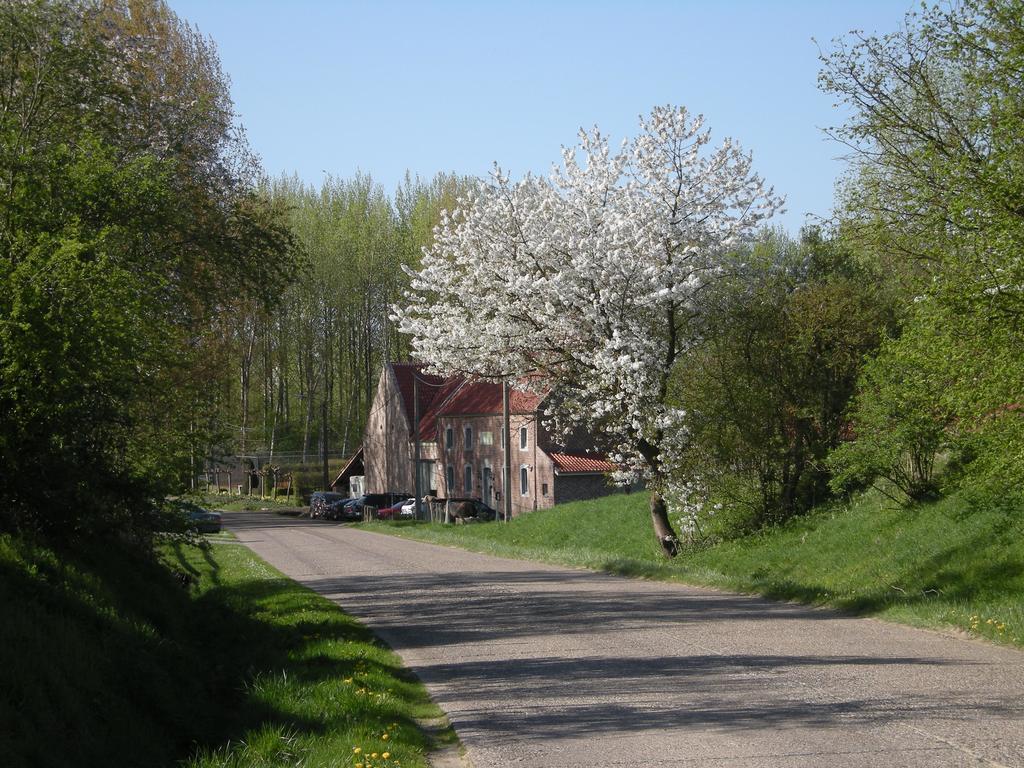 De Verborgen Parel B&B Borgloon Eksteriør bilde