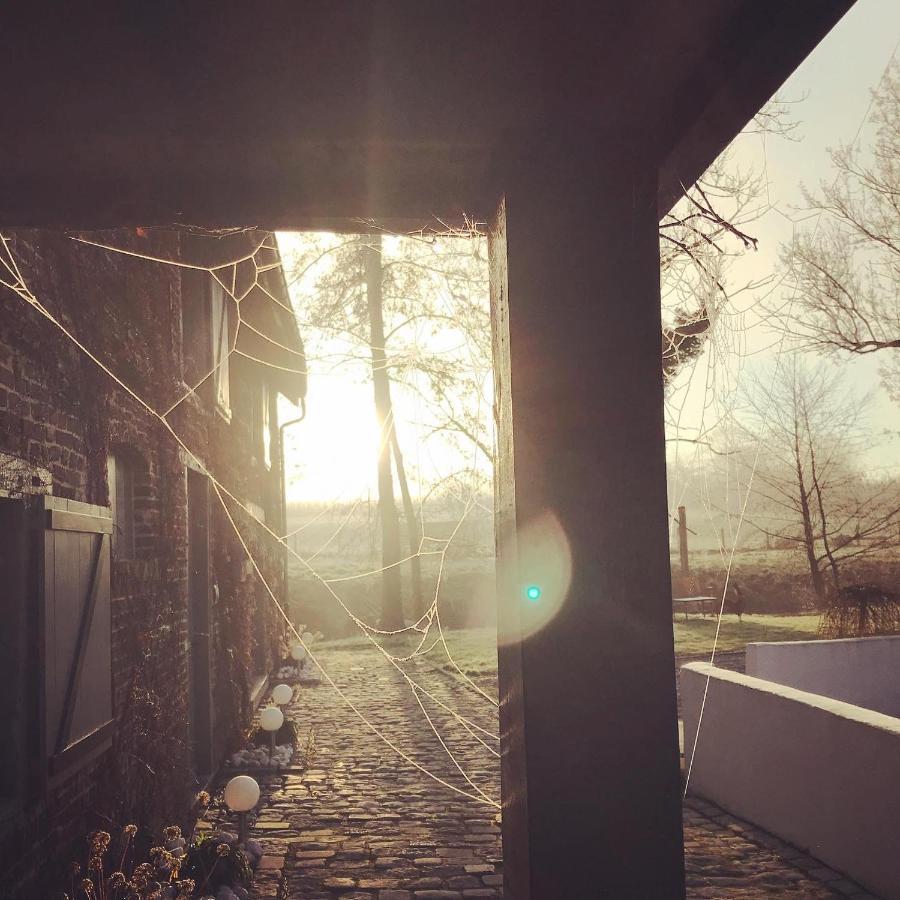De Verborgen Parel B&B Borgloon Eksteriør bilde
